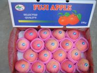 Red FUJI Apple