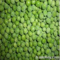 2013 New Season IQF Green Peas