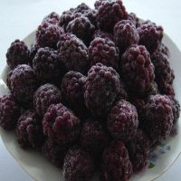 IQF Frozen Blackberry