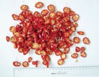 IQF Chilli Rings