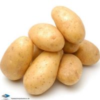 Fresh potatoes for sale