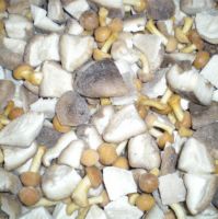 IQF Mixed Mushroom