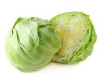 Hot sale fresh cabbages