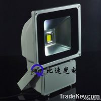 60W LED Flood Light