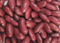 Dark Red Kidney Beans(DRKB)