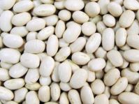 Small White Kidney Beans Japanese Type(SWKB)