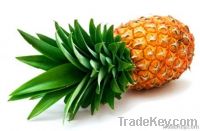 Pineapple juice concentrate