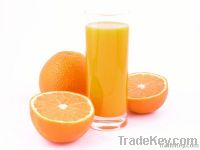 Orange Juice Concentrate