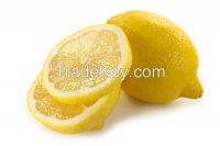 Lemon Juice Concentrate