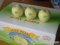 https://www.tradekey.com/product_view/2012-Fresh-Crown-Pear-3726522.html