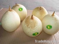 https://es.tradekey.com/product_view/2012-Fresh-Ya-Pear-3729570.html