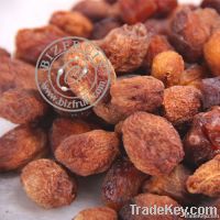 Dried Apricot