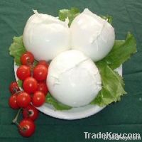 mozzarella di bufala