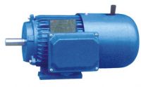 YEJ Series Motor