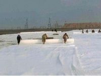 Filament Geotextile
