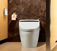 HM800 Elite Washdown automatic cleaning Smart lavatory nightstool  with floor mounted