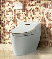 HK768 Golden luxurious stable performance multifunction intelligent smart toilet