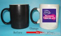 Color Changing Mug/ Magic Mug