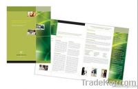 catalogs printing