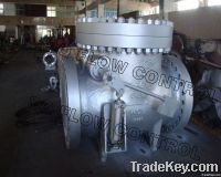 Swing check valve with level