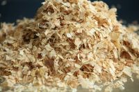 Wood shavings