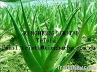 https://fr.tradekey.com/product_view/Aloe-Vera-Leaf-Extract-2004725.html