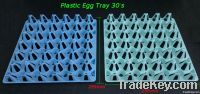 Plastic Egg Tray 30's