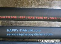 High Pressure Steel Wire Braided rubbe hose/R2