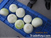 Onion peeling machine