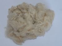 1.5 X 38mm recycled polyester staple fiber