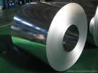 hot dipped galvanized steel coil/sheet