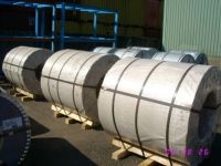 stainless steel sheet/coil