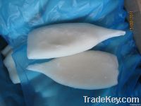 https://ar.tradekey.com/product_view/Chilled-Squid-Tube-todarodes-Pacificus--1862940.html