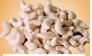 white cashewnut