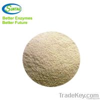 https://www.tradekey.com/product_view/Acid-Protease-Powder-Enzyme-1873855.html