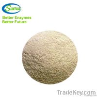 Phytase in Powder Granular and Coated