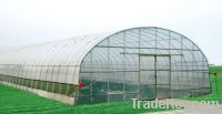 https://fr.tradekey.com/product_view/Agricultural-Tunnel-Greenhouse-1933635.html