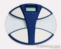 CS-369 fat water scale