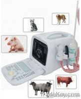 veterinary full digital ultrasound scanner
