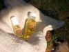 Sinfully Wholesome Wildcrafted Argan Oil