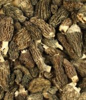 Morel Mushrooms-