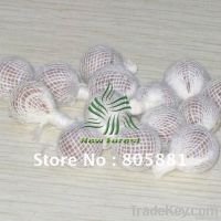 https://jp.tradekey.com/product_view/Beauty-Life-Herbal-Tampon-1907832.html