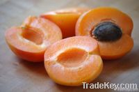 IQF APRICOT