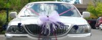 Commercial limousine service