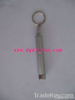 Picture project with keychain