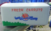 fresh carrot is on hot sell now