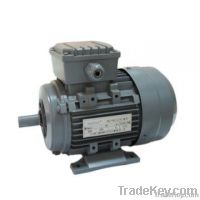 Electric motor