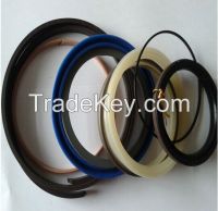 Oil Seal,Cylinder Seal Kit, Cylinder Repair Kit