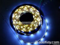 smd 5050 led strip light or flexible strip light 1M 30smd 5050 NO Wate