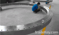 Slewing bearing for Tunnel Boring Machine